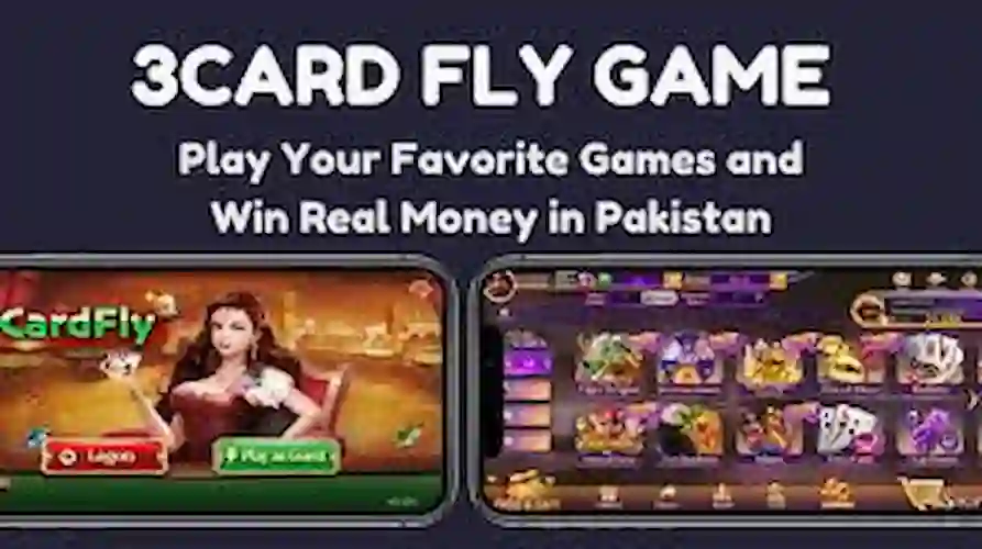 3carfly Game 