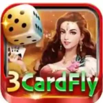 3 Card Fly Game