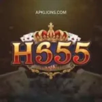 h555 Game